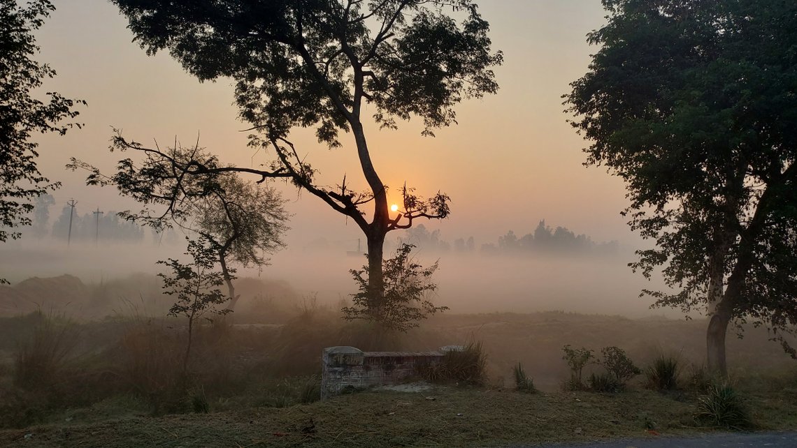 beautiful morning